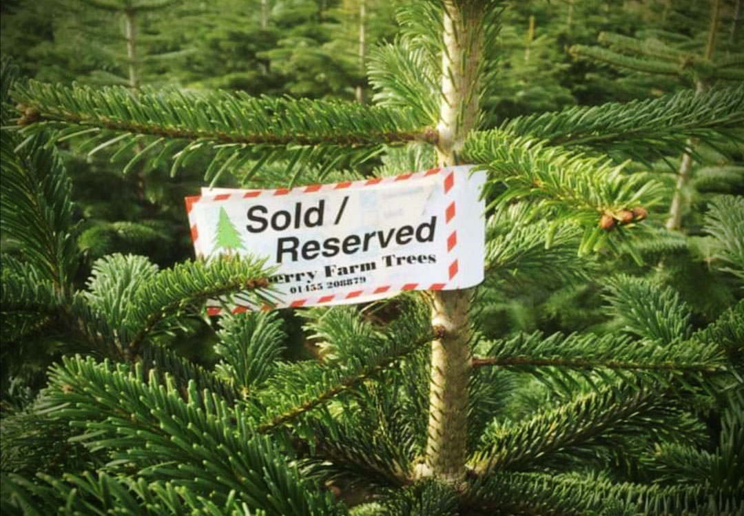 Reserved Tree